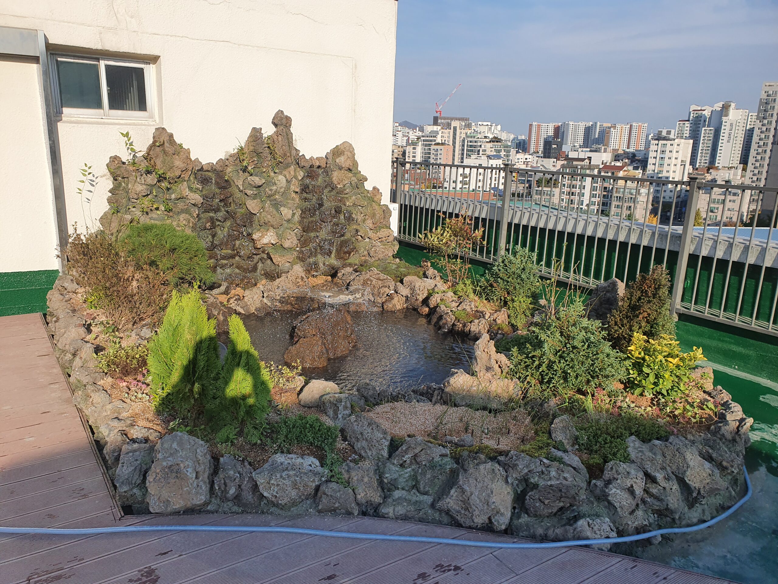 강서도서관 옥상연못조경